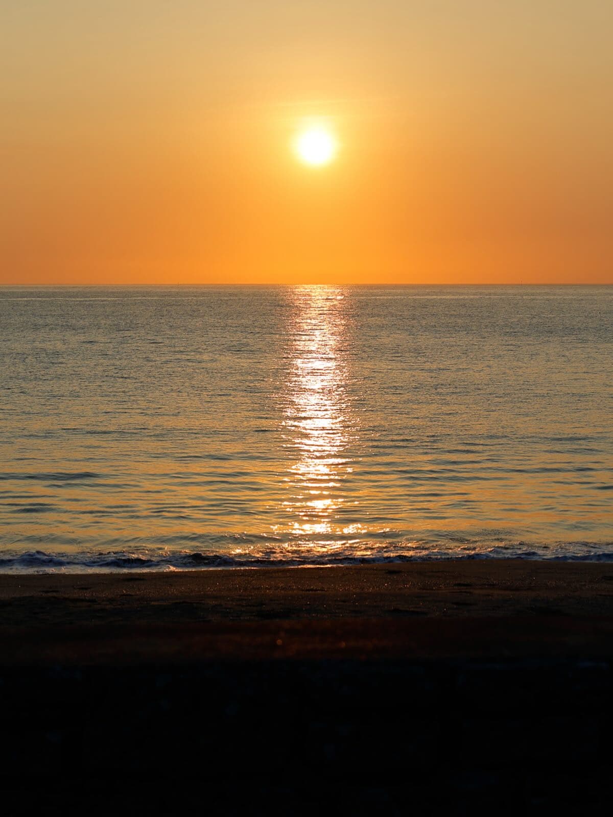 むちゃくちゃ綺麗な朝日