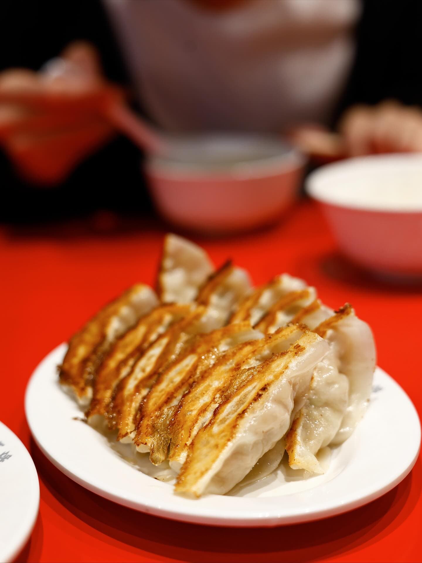 今日の投稿は餃子にしよう
