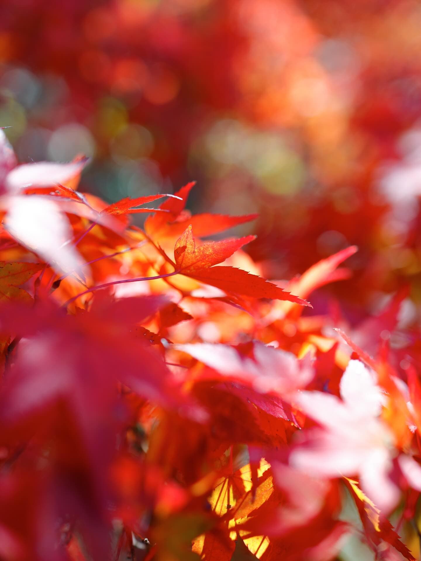 Instagram Post 2025-11-29