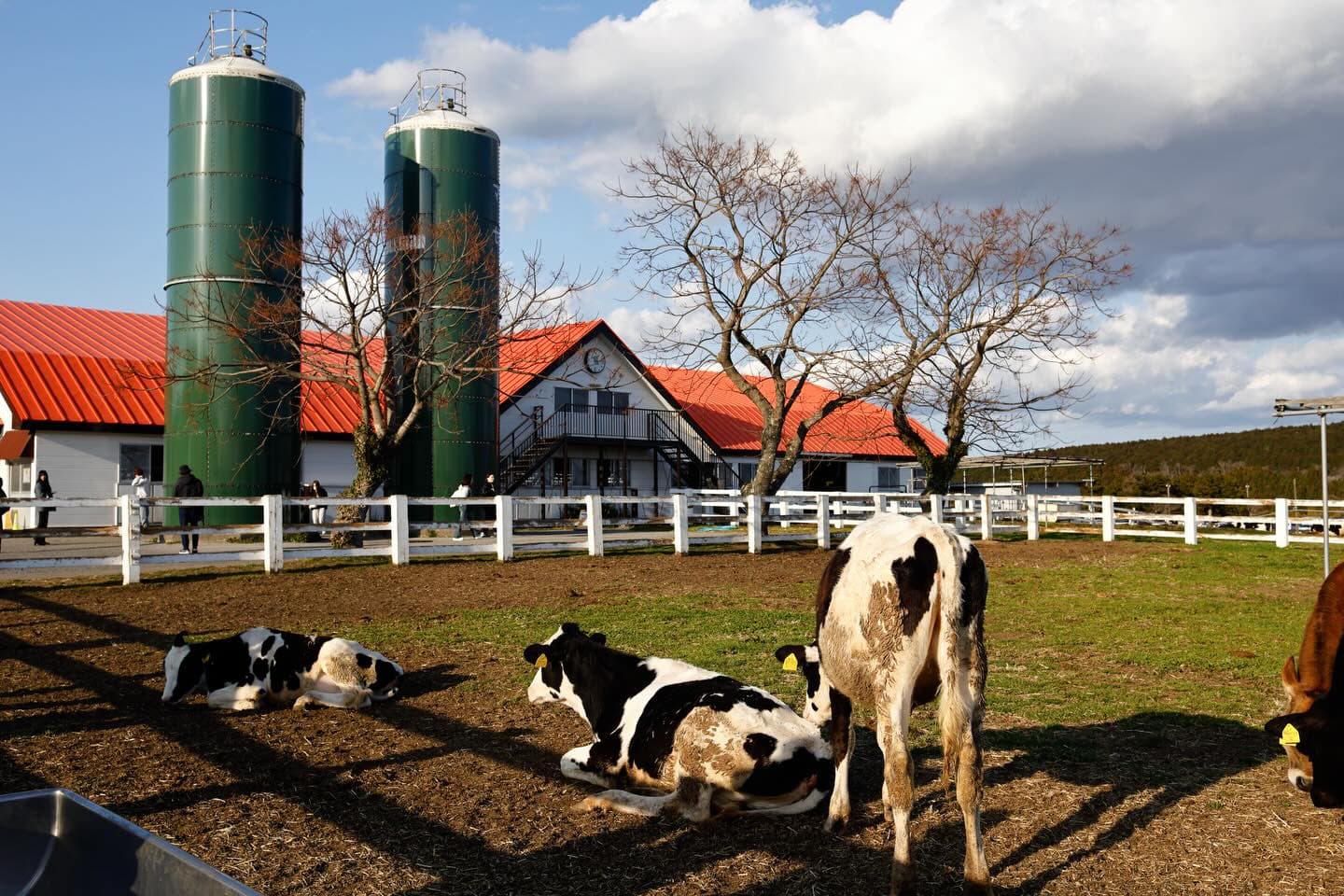 Instagram Post 2026-03-21