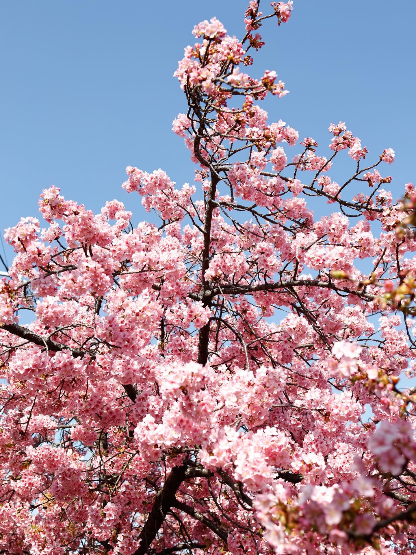 Instagram Post 2026-04-02