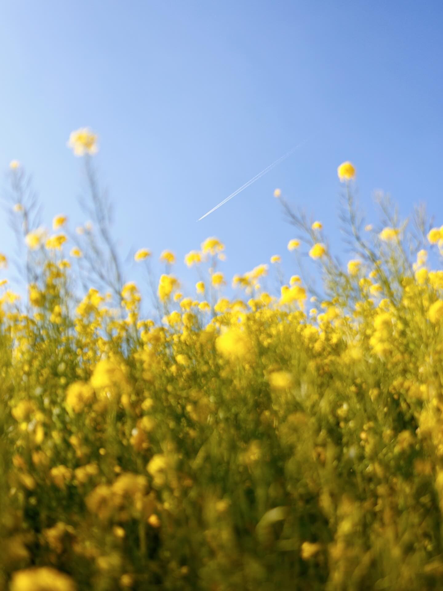 ドン引き体勢により、蛙化と引き換えに撮れた1枚。
#マザー牧場